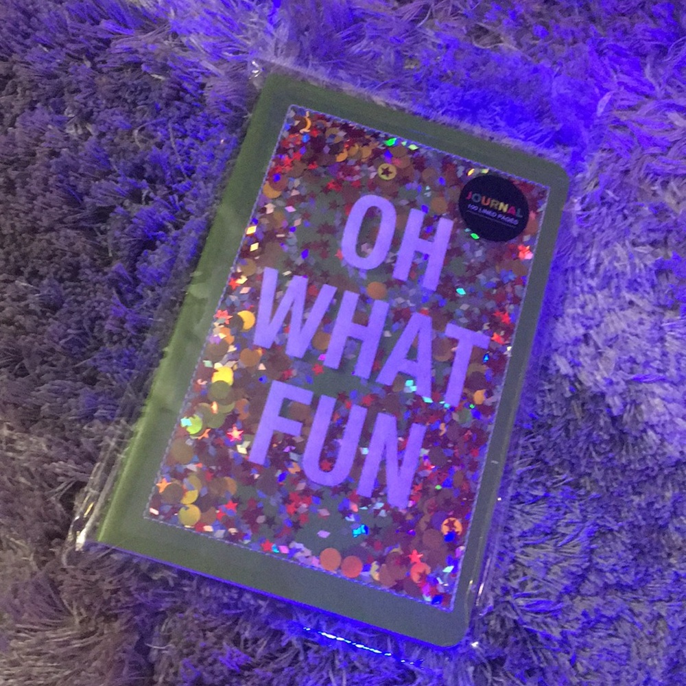 SOLD Oh What Fun notebook
